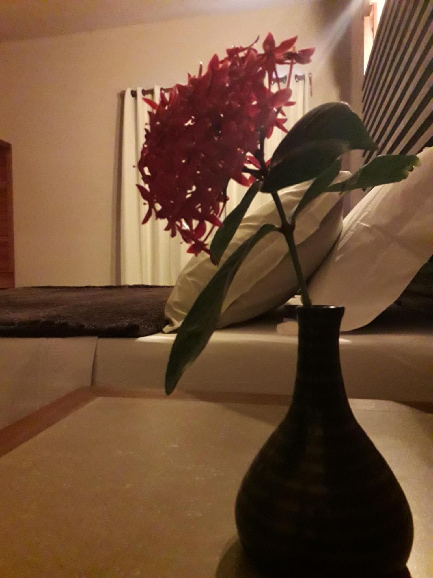 Alfa Beach (Adults Only) Cacha Pregos Chambre photo